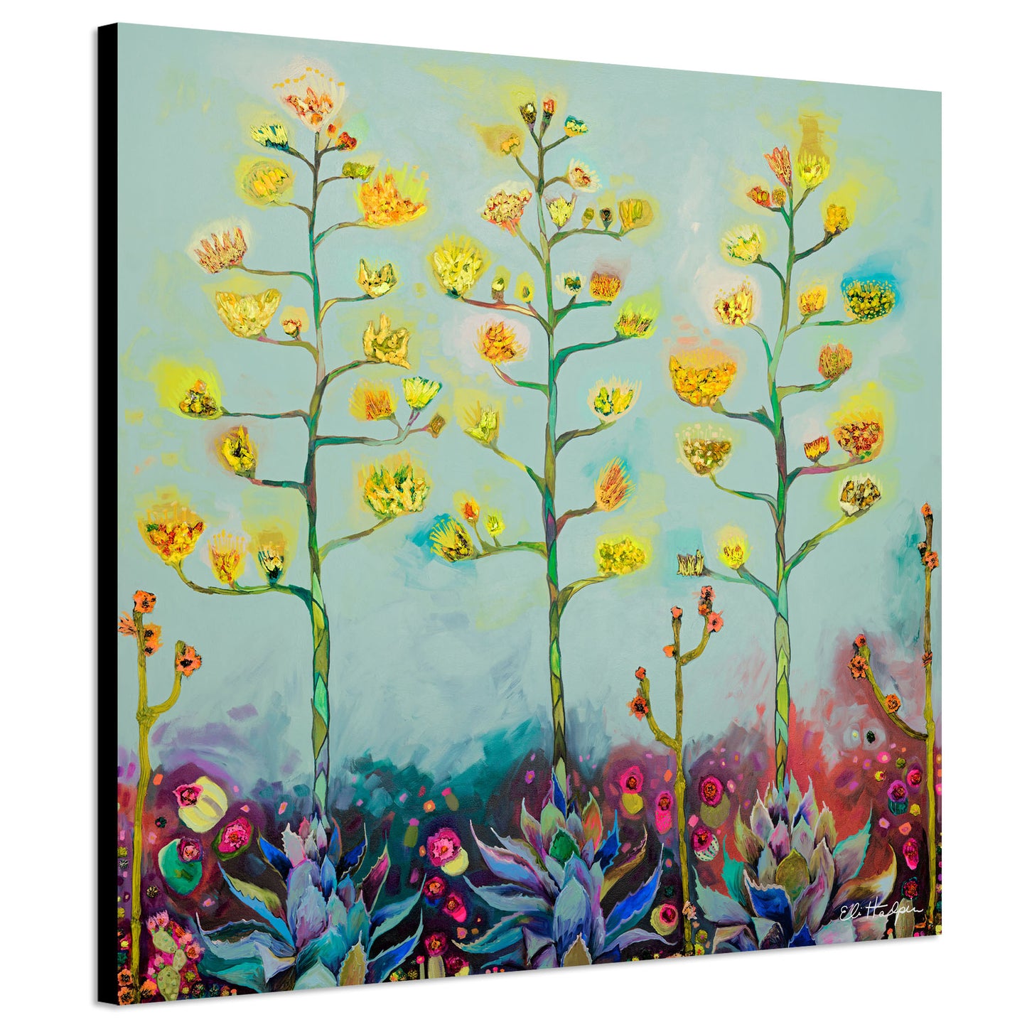 Agave Blooms - Canvas Print