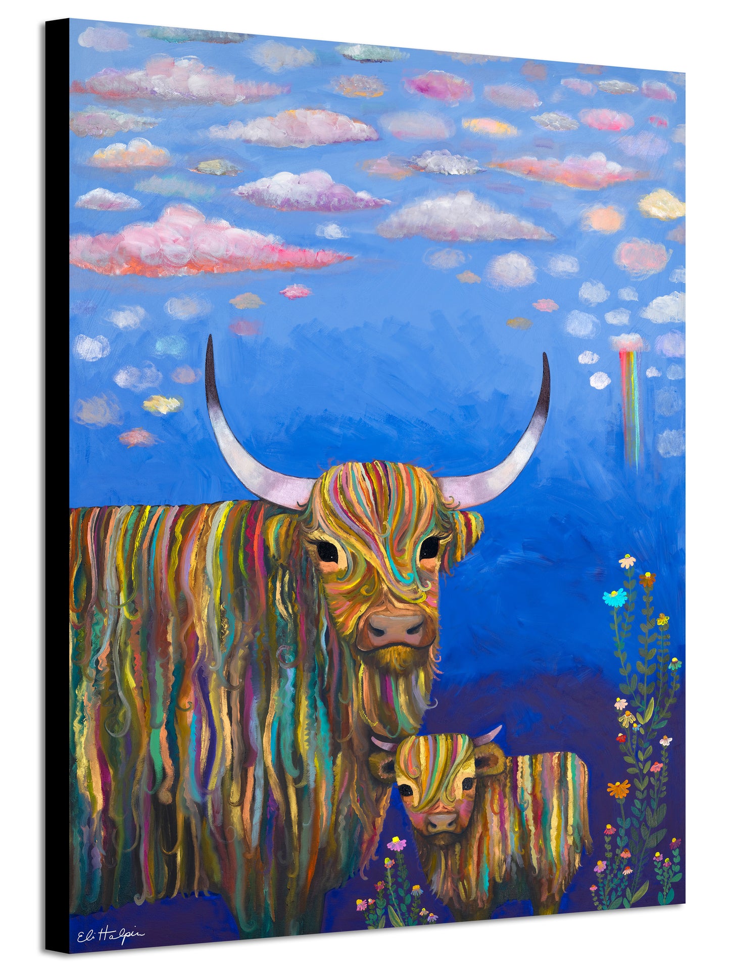 Highland Cow Calf- Canvas Print