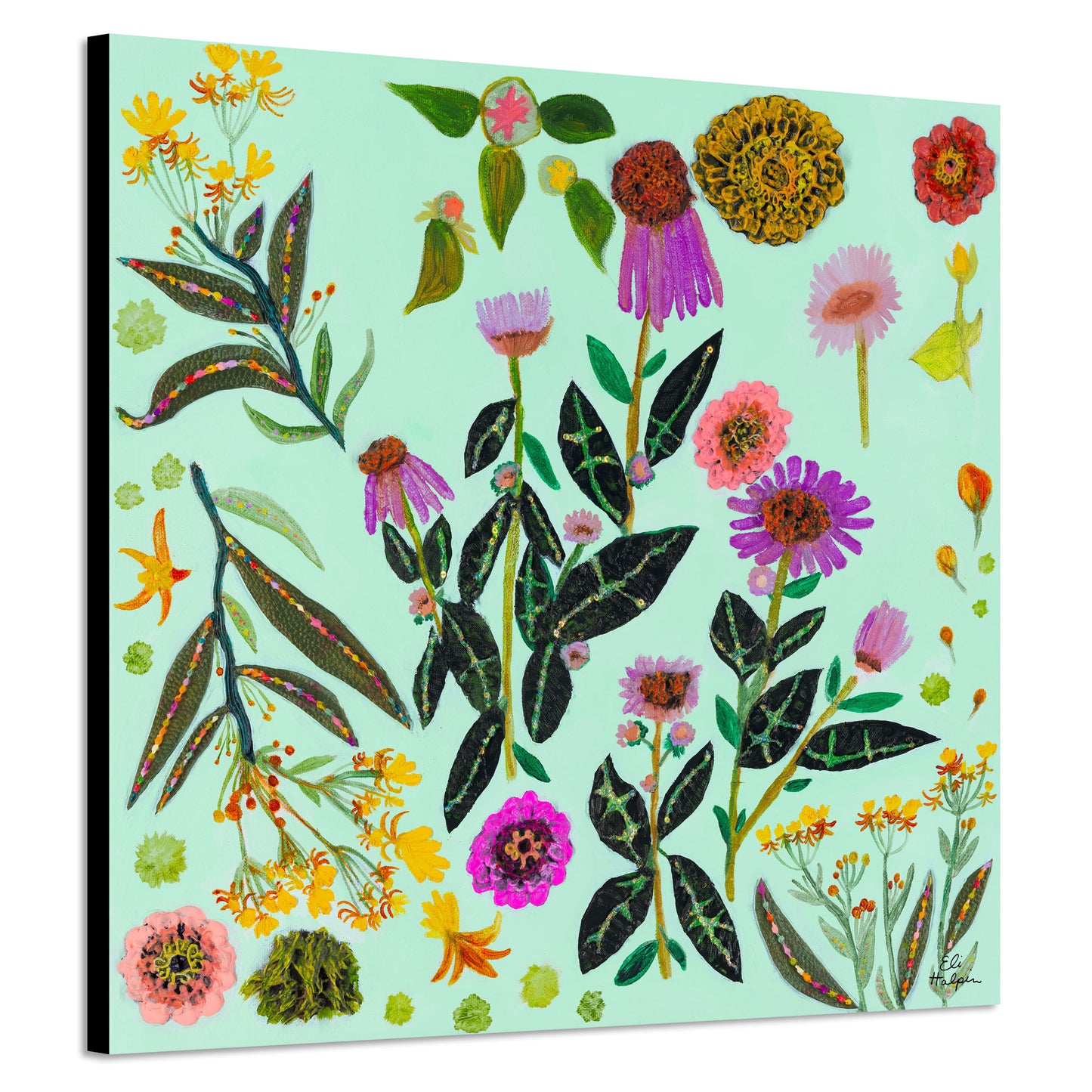 Milkweed Flowers - Canvas Print