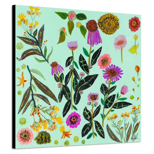 Milkweed Flowers - Canvas Print