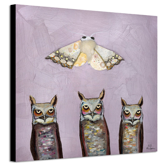 Moth and Owls - Canvas Print