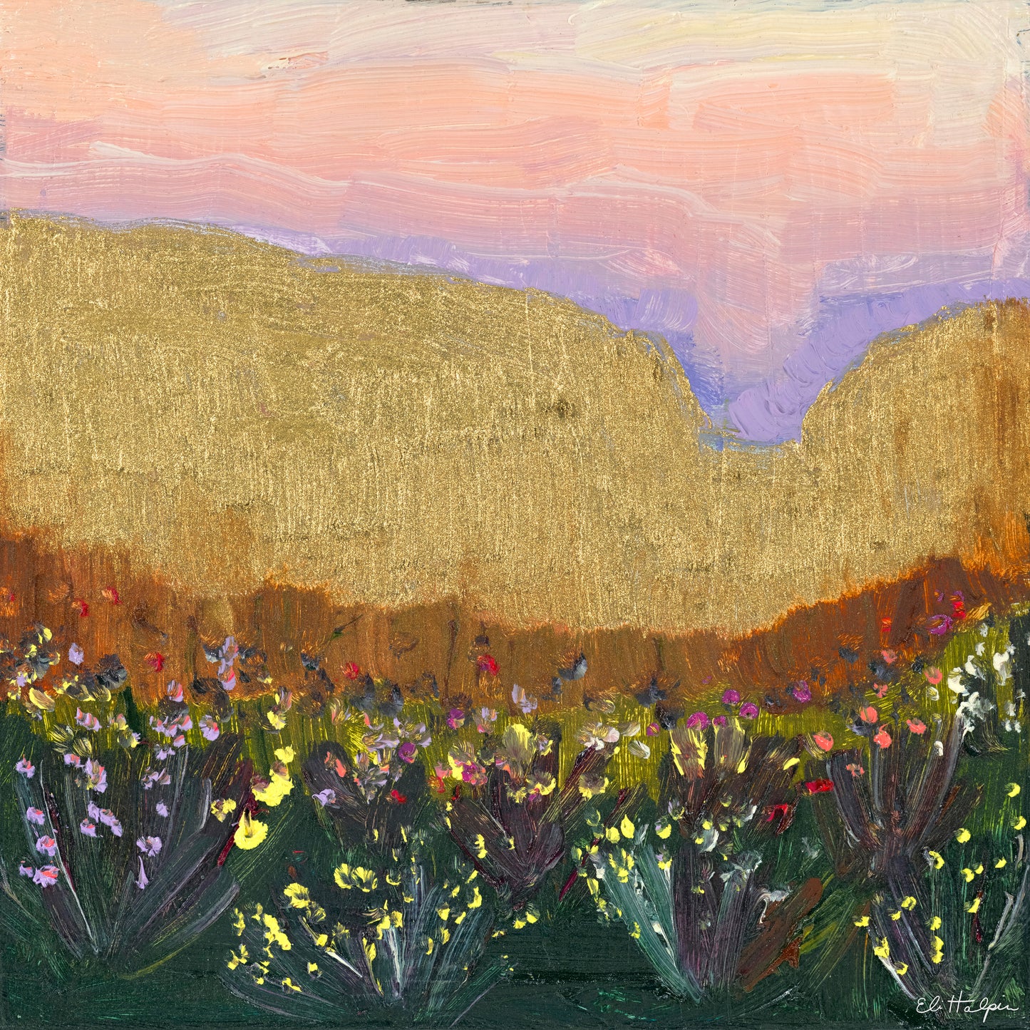 Pink Desert Sky - Canvas Print