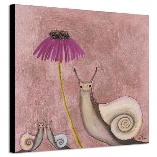Snail Shells - Canvas Print