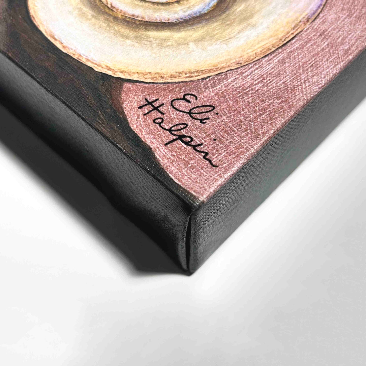 Snail Shells - Canvas Print