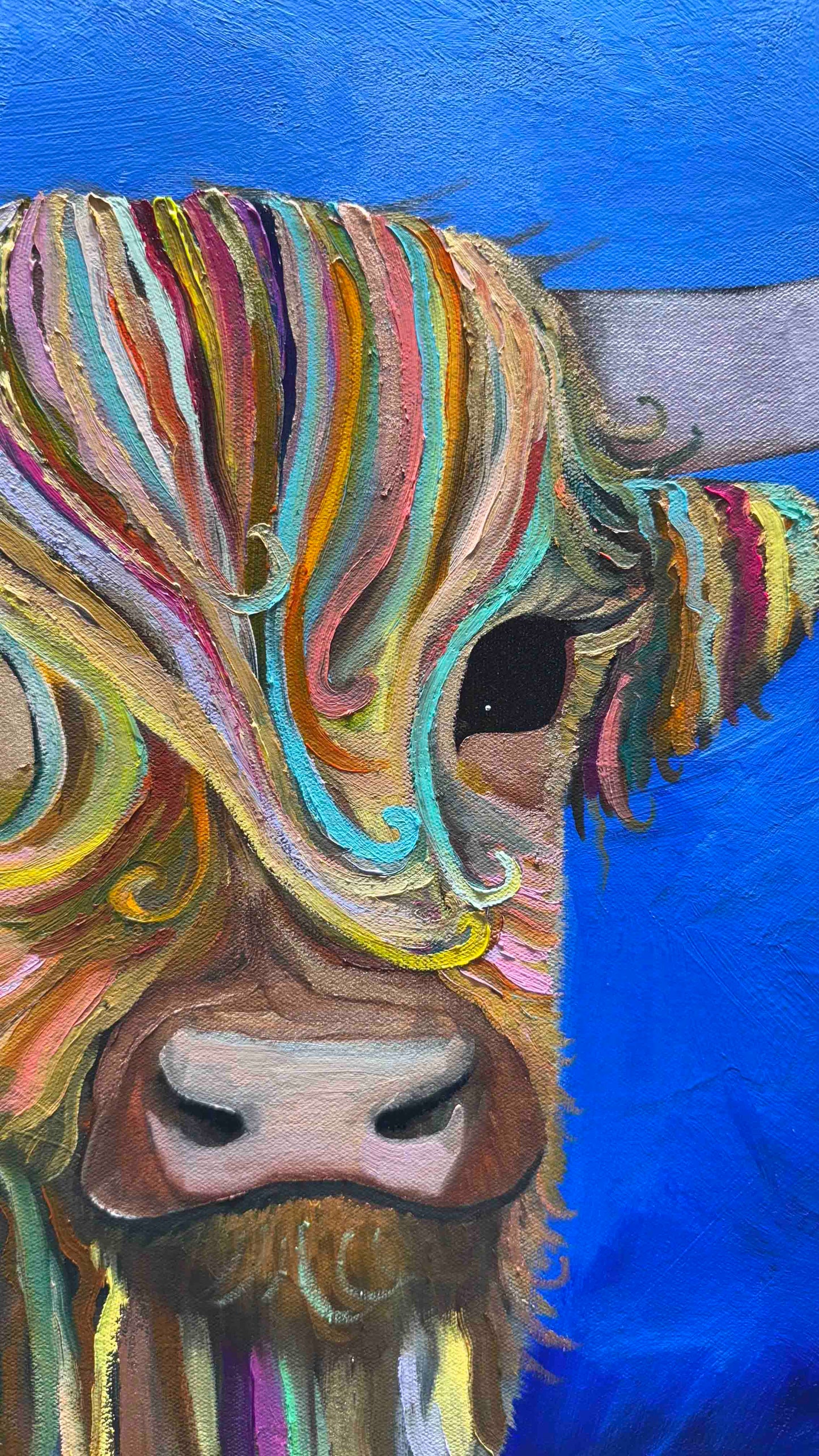 Highland Cow Calf 36x48" - Oil Painting