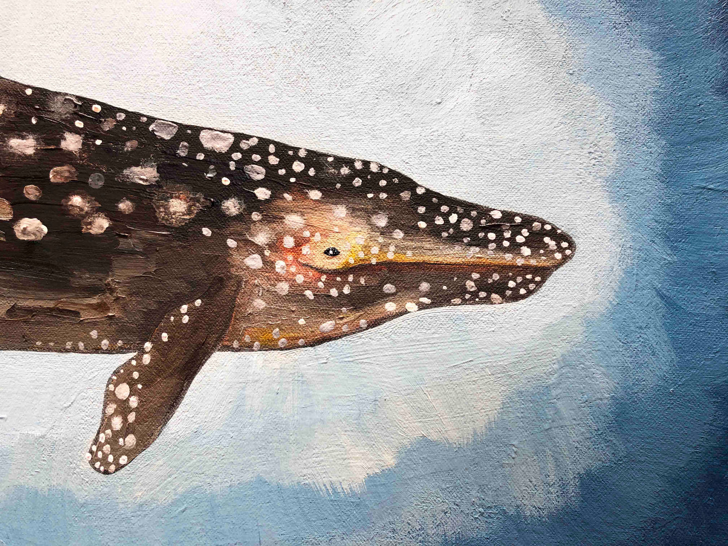 Gray Whale Calf 7ft x 6ft - Oil Painting