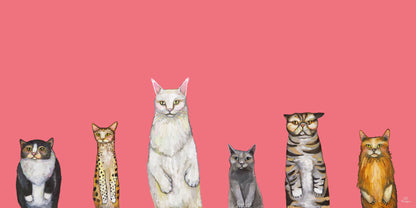 Cats - Canvas Print