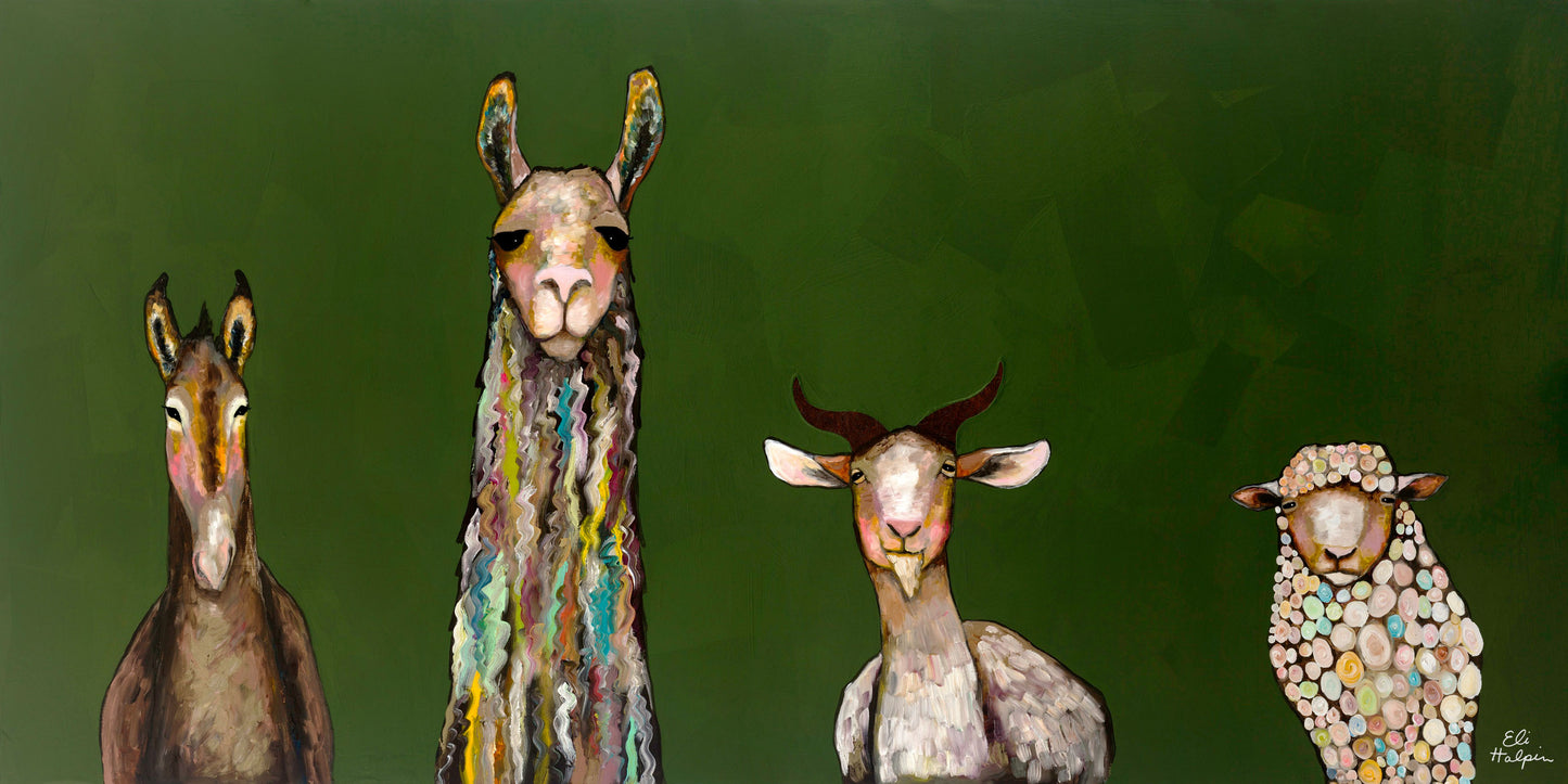 Donkey Llama Goat Sheep - Canvas Print