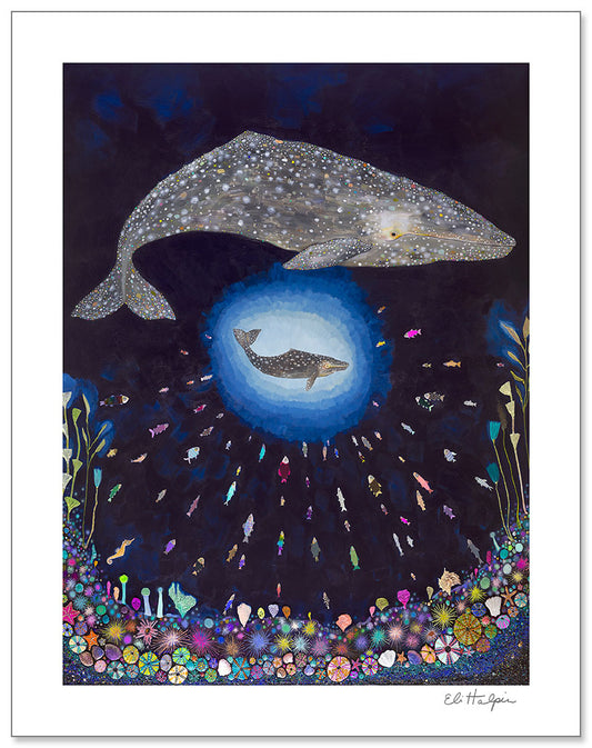 Gray Whale Calf - Signed Paper Print
