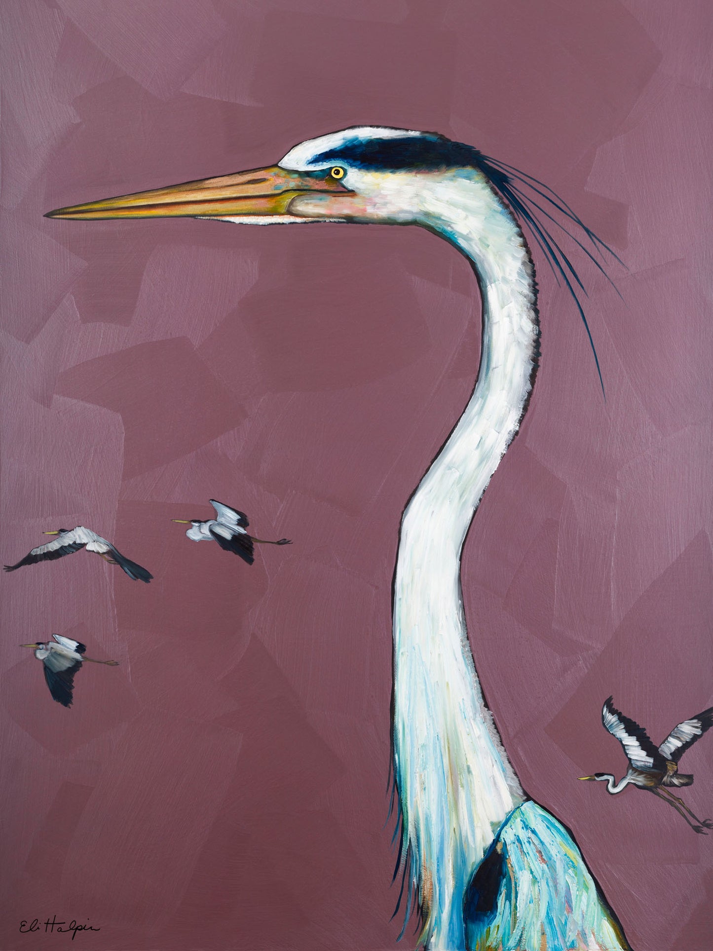 Great Blue Heron - Canvas Print