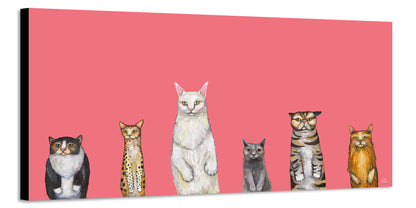 Cats - Canvas Print
