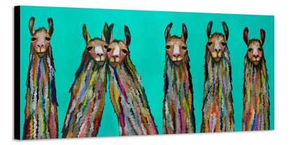 Six Lively Llamas - Canvas Print
