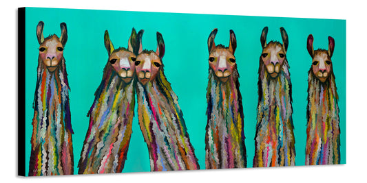 Six Lively Llamas - Canvas Print