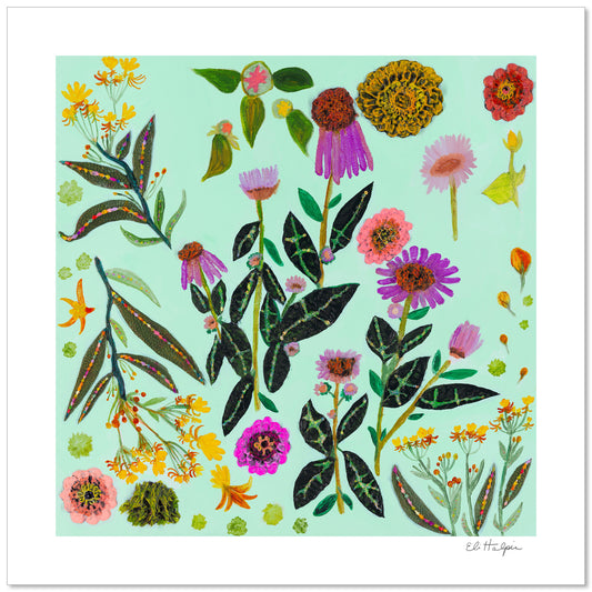 Milkweed- Signed Paper Print