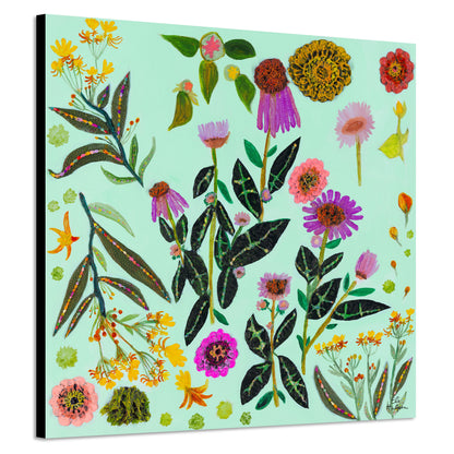 Milkweed Flowers - Canvas Print