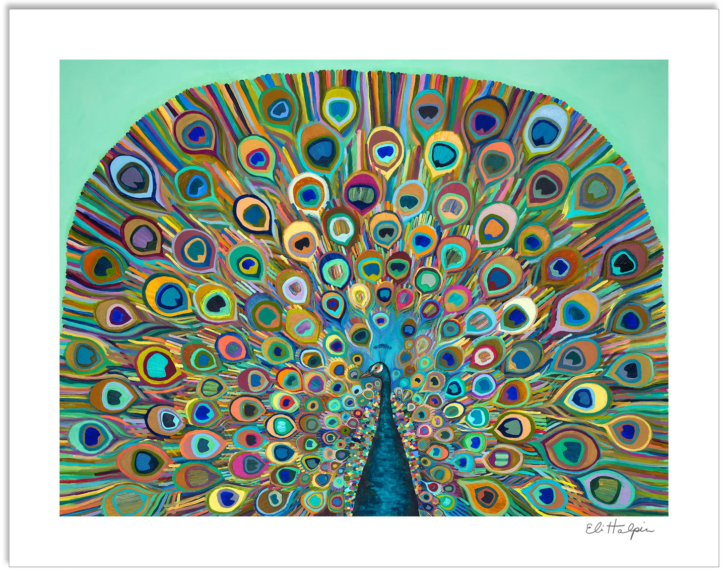 Peacock Bloom - Signed Paper Print