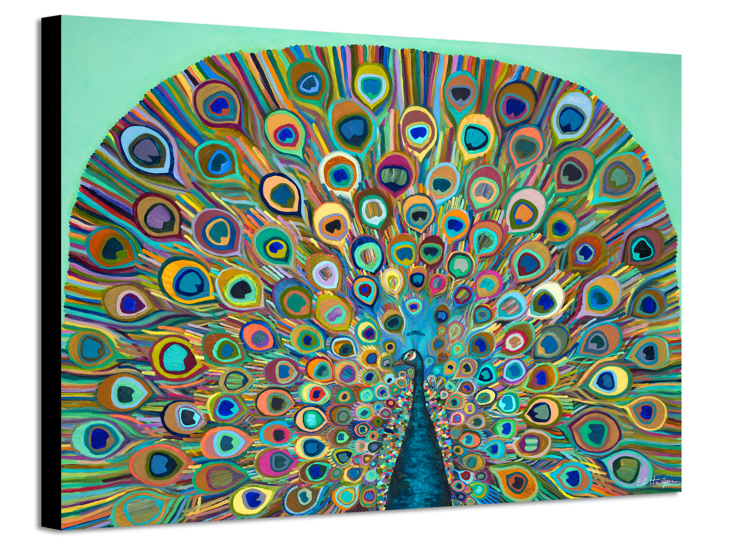 Peacock Bloom - Canvas Print