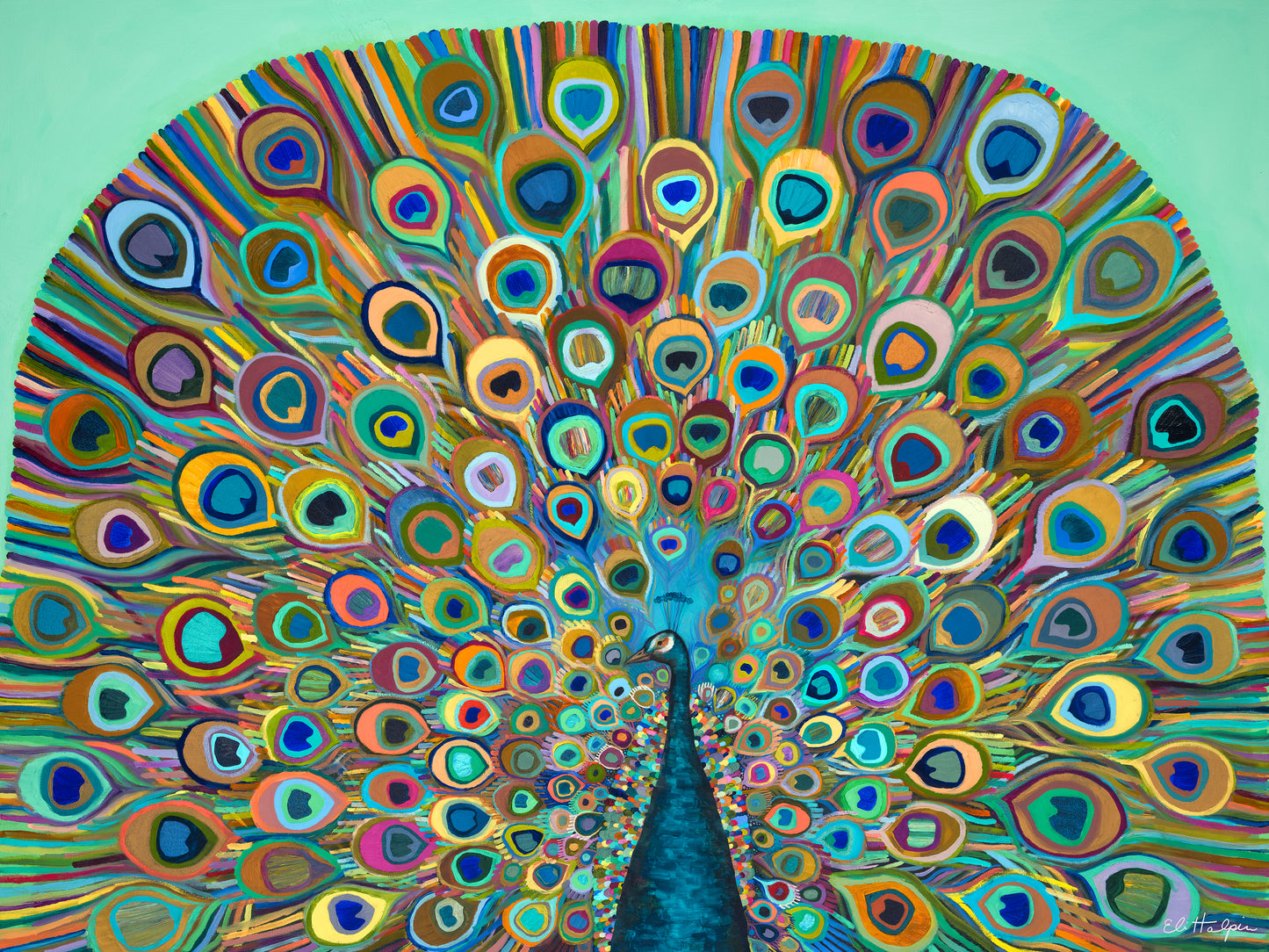 Peacock Bloom - Canvas Print