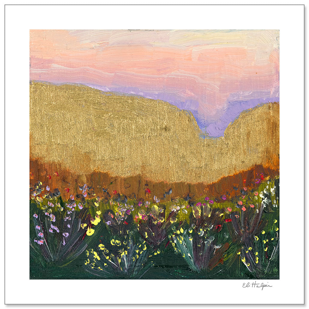 Pink Desert Sky - Signed Paper Print