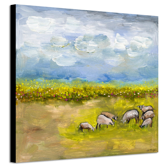 Sheep Pasture - Canvas Print