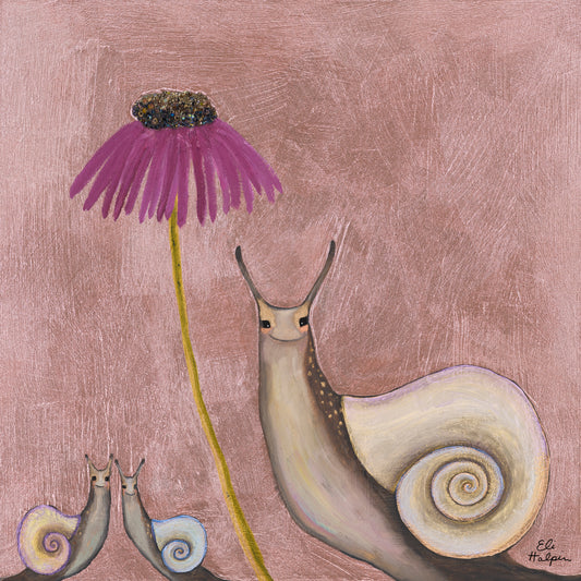 Snail Shells - Canvas Print