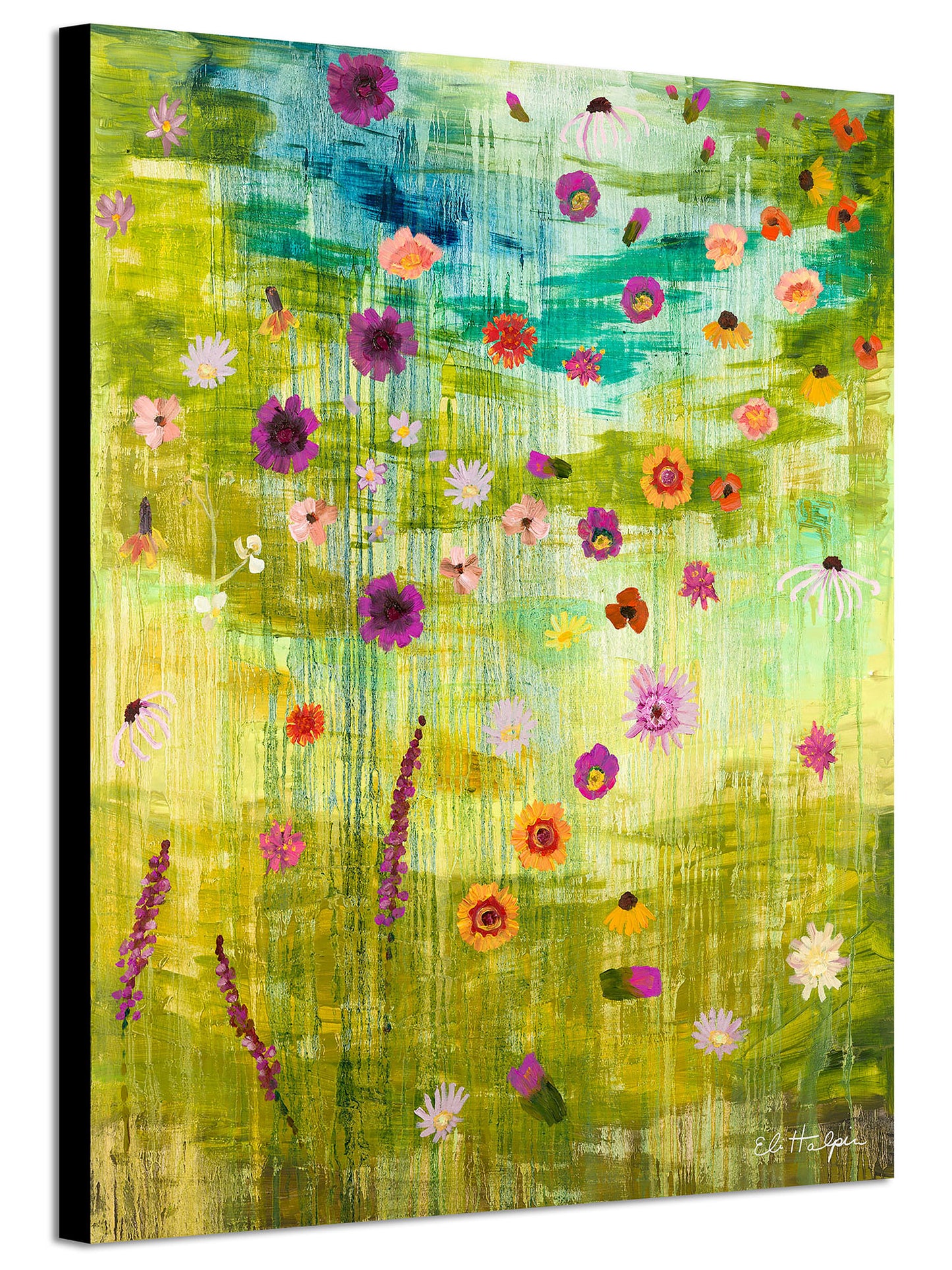 Texas Wildflowers - Canvas Print